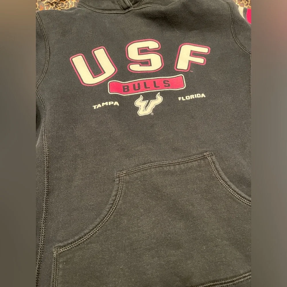 USF Hoodie Russel Athletic - Picture 12 of 14